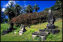 Japanese cemetery in Hana. Maui, Hawaii, USA (color)