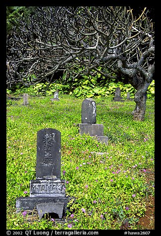 Historic Japanese cemetery in Hana. Maui, Hawaii, USA (color)