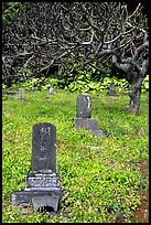 Historic Japanese cemetery in Hana. Maui, Hawaii, USA