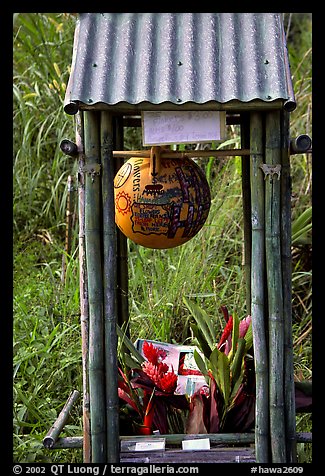 Self-serve flower and fruit stand. Maui, Hawaii, USA (color)