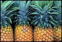 Pinapple. Maui, Hawaii, USA ( color)