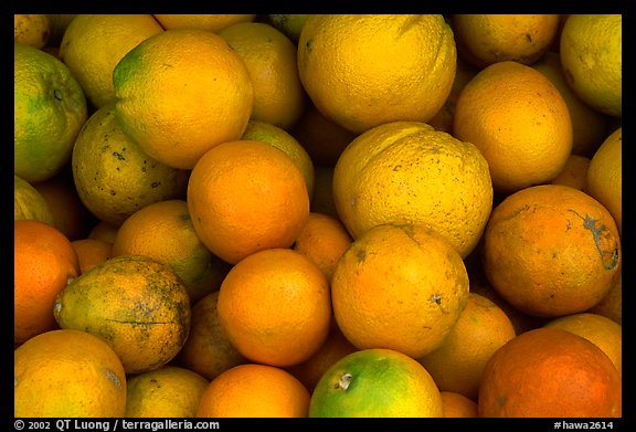 Oranges. Maui, Hawaii, USA (color)