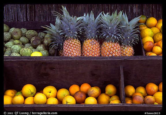 Tropical Fruits, roadside stand. Maui, Hawaii, USA (color)