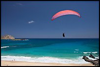 Paragliding above Makapuu Beach. Oahu island, Hawaii, USA