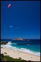 Makapuu Beach with paraglider above. Oahu island, Hawaii, USA ( color)