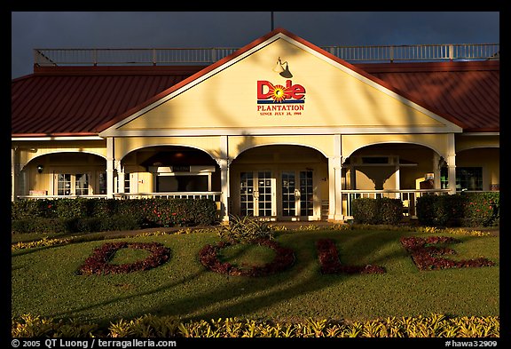 Dole Plantation visitor center. Oahu island, Hawaii, USA (color)