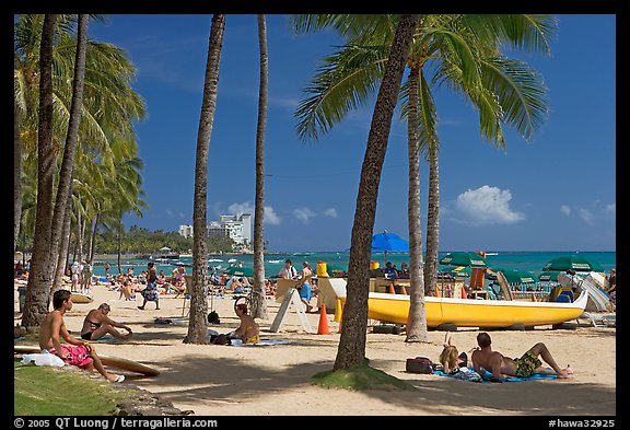 Beach scene with palm trees. Waikiki, Honolulu, Oahu island, Hawaii, USA (color)