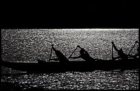 Backlit hawaiian canoe paddlers, Maunalua Bay, late afternoon. Oahu island, Hawaii, USA