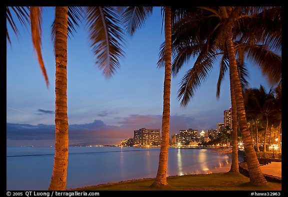 Palm trees and Waikiki beach at dusk. Waikiki, Honolulu, Oahu island, Hawaii, USA (color)