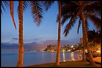 Palm trees and Waikiki beach at dusk. Waikiki, Honolulu, Oahu island, Hawaii, USA (color)