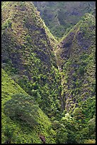 Steep walls covered with vegetation, Koolau Mountains. Oahu island, Hawaii, USA