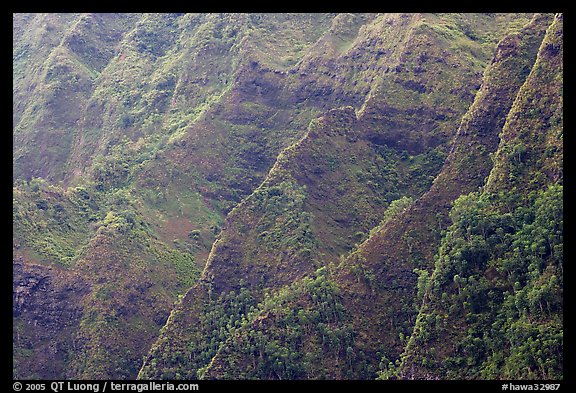 Steep ridges covered with tropical vegetation, Koolau Mountains. Oahu island, Hawaii, USA (color)