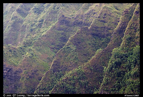 Steep ridges covered with tropical vegetation, Koolau Mountains. Oahu island, Hawaii, USA