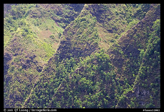 Ridges on pali. Oahu island, Hawaii, USA (color)