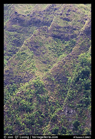 Ridges on pali. Oahu island, Hawaii, USA (color)