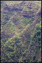 Ridges on pali. Oahu island, Hawaii, USA ( color)