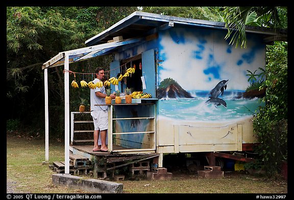 Man shopping at decorated fruit stand. Oahu island, Hawaii, USA