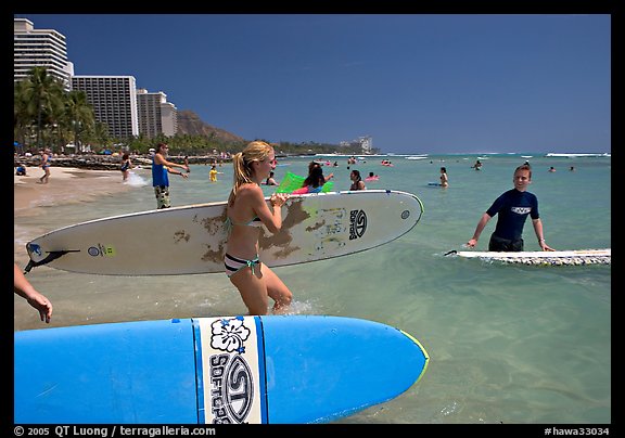 Surfers entering the water with boards, Waikiki Beach. Waikiki, Honolulu, Oahu island, Hawaii, USA