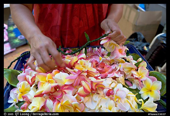 Fresh flowers used for lei making, International Marketplace. Waikiki, Honolulu, Oahu island, Hawaii, USA (color)