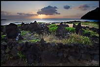 Pictures of Polynesian Religions