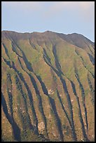 Fluted mountains, Koolau range, early morning. Oahu island, Hawaii, USA