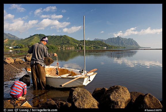 Fisherman pulling out fish out a net as girllooks, Kaneohe Bay, morning. Oahu island, Hawaii, USA