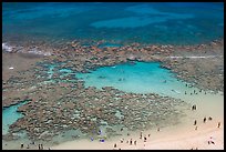 People in the water in the reefs of Hanauma Bay. Oahu island, Hawaii, USA ( color)