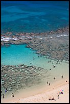 Beach and reef, Hanauma Bay. Oahu island, Hawaii, USA