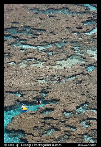 Snorklers in the Hanauma Bay reefs. Oahu island, Hawaii, USA (color)