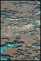 Snorklers in the Hanauma Bay reefs. Oahu island, Hawaii, USA ( color)