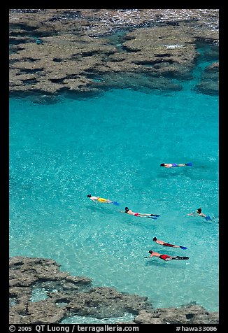 Swimming in Hanamau Bay with snorkels. Oahu island, Hawaii, USA