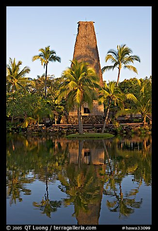 Fijian Bure Kalou, sprit house with high-reaching roof. Polynesian Cultural Center, Oahu island, Hawaii, USA (color)