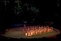 Maori dancers. Polynesian Cultural Center, Oahu island, Hawaii, USA