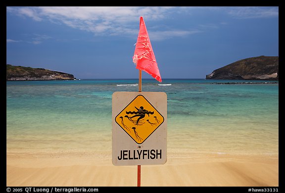 Sign warning against jellyfish,  Hanauma Bay. Oahu island, Hawaii, USA (color)