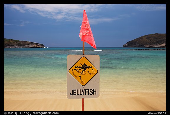 Sign warning against jellyfish,  Hanauma Bay. Oahu island, Hawaii, USA