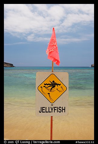 Sign warning against jellyfish,  Hanauma Bay. Oahu island, Hawaii, USA (color)