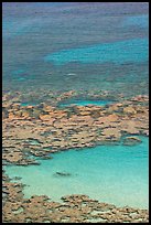 Reefs and sandy pools of Hanauma Bay. Oahu island, Hawaii, USA (color)