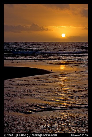 Sun and bird, mouth of the Wailua River. Kauai island, Hawaii, USA