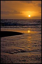 Sun and bird, mouth of the Wailua River. Kauai island, Hawaii, USA (color)