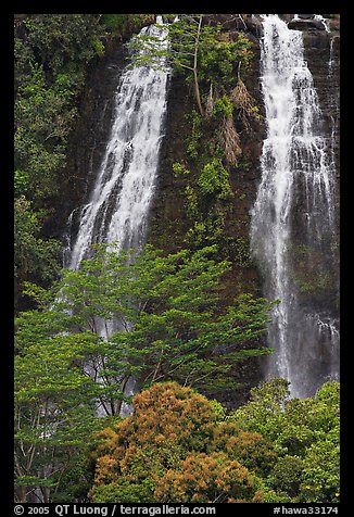 Opaekaa Falls. Kauai island, Hawaii, USA (color)