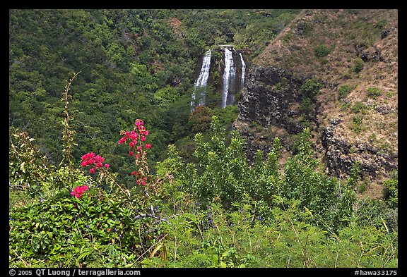 Opaekaa Falls and tropical vegetation, mid-morning. Kauai island, Hawaii, USA