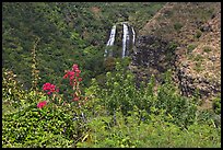 Opaekaa Falls and tropical vegetation, mid-morning. Kauai island, Hawaii, USA ( color)