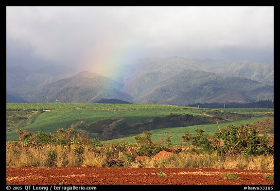 Field, hills, and rainbow. Kauai island, Hawaii, USA