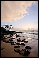 Windblown trees, boulders, and clouds, Lydgate Park, sunrise. Kauai island, Hawaii, USA (color)