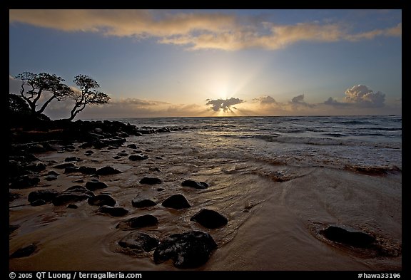 Windblown trees, boulders, and clouds, Lydgate Park, sunrise. Kauai island, Hawaii, USA