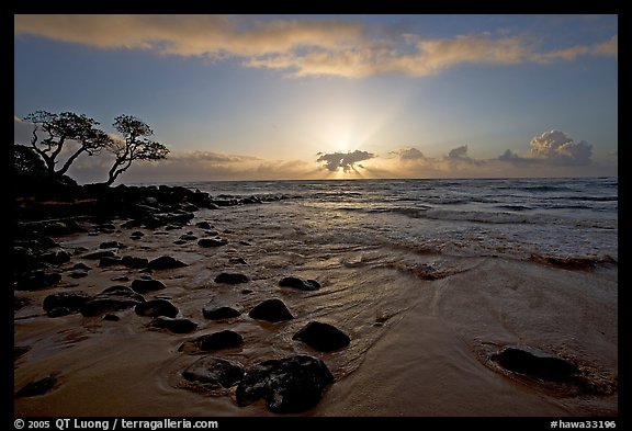 Windblown trees, boulders, and clouds, Lydgate Park, sunrise. Kauai island, Hawaii, USA (color)