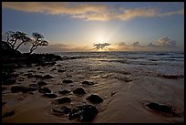 Windblown trees, boulders, and clouds, Lydgate Park, sunrise. Kauai island, Hawaii, USA (color)