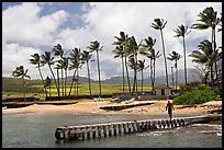 Pier, Kukuila harbor. Kauai island, Hawaii, USA ( color)