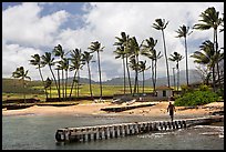 Pier, Kukuila harbor. Kauai island, Hawaii, USA (color)