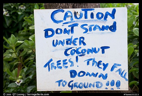 Hand written sign cautioning against falling coconut. Kauai island, Hawaii, USA